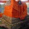 401th year Aradhane of Sri Vijayindra Tirtha Mahaprabhu
