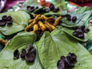 Betel Leaves(Thamboolam)